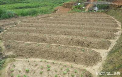 國家實施土地整理，提升土地利用率的重要舉措