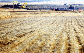 土地整理的新篇章 新增耕地的關鍵路徑與價值