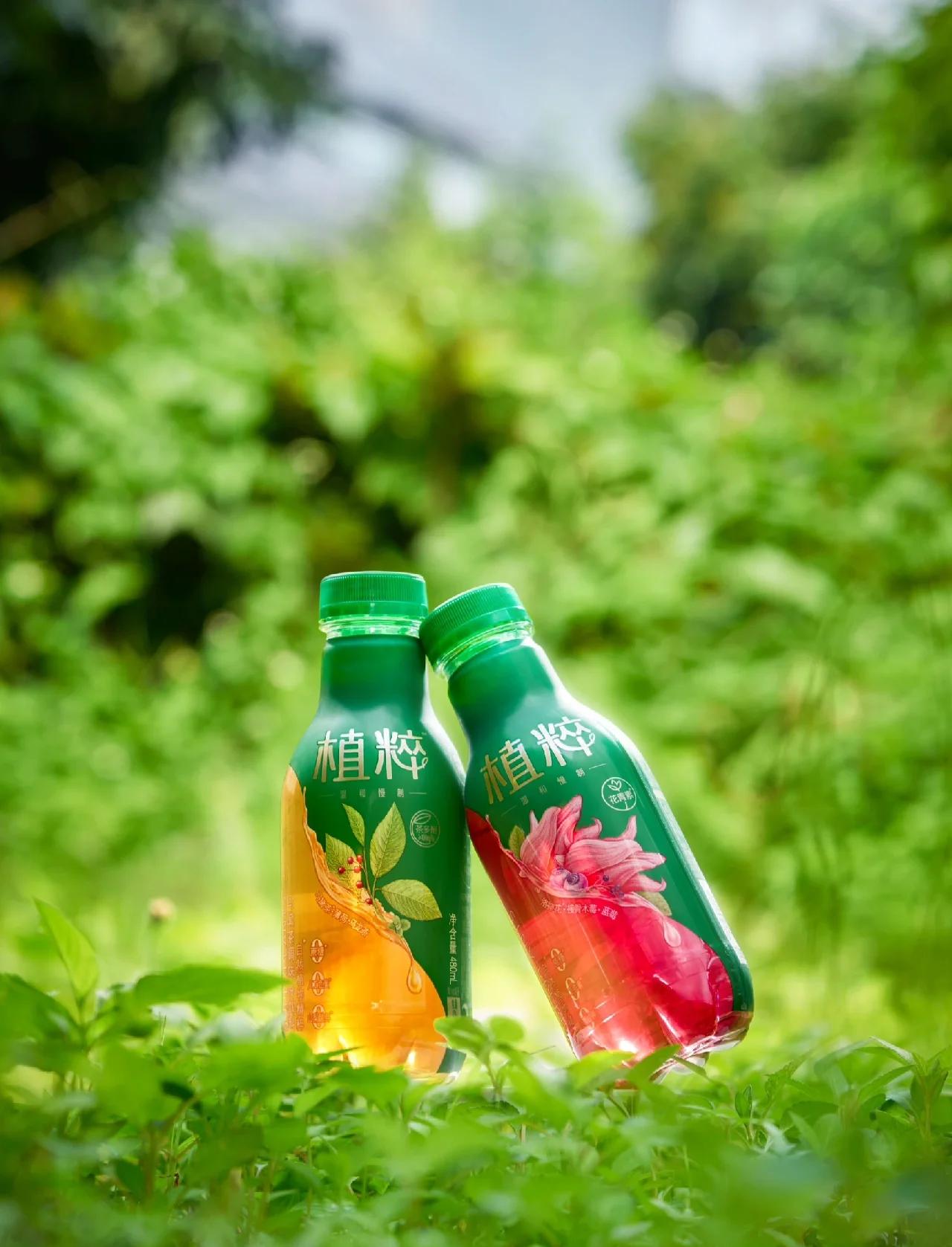 達能植粹花草茶包裝設計 植物飲料的自然表達
